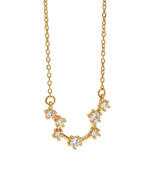 Collana Acquario, acciaio dorato. Presentata elegantemente in piccola bottiglietta con frase descrittiva segno zodiacale.