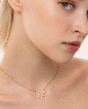 Collana Acquario, acciaio dorato. Presentata elegantemente in piccola bottiglietta con frase descrittiva segno zodiacale.