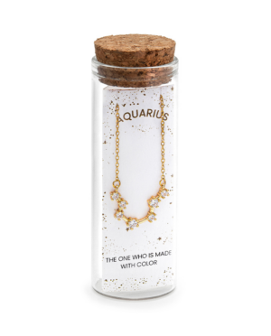 Collana Acquario, acciaio dorato. Presentata elegantemente in piccola bottiglietta con frase descrittiva segno zodiacale.