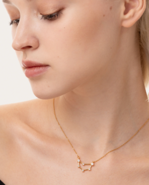 Collana Capricorno, acciaio dorato. Presentata elegantemente in piccola bottiglietta con frase descrittiva segno zodiacale.