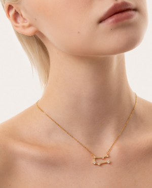 Collana Gemelli, acciaio dorato. Presentata elegantemente in piccola bottiglietta con frase descrittiva segno zodiacale.