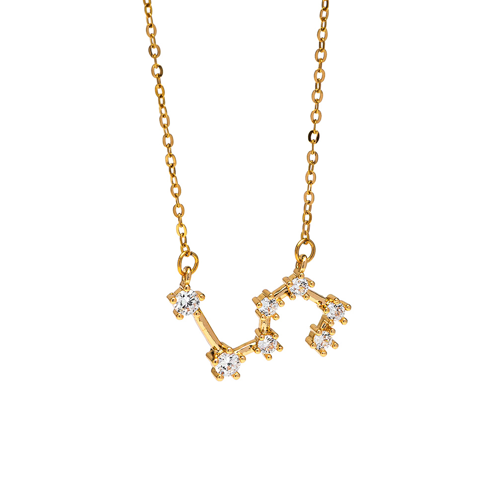 Collana Leone, acciaio dorato. Presentata elegantemente in piccola bottiglietta con frase descrittiva segno zodiacale.