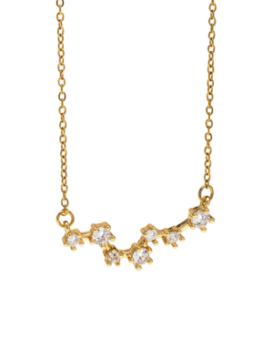 Collana Pescfi, acciaio dorato. Presentata elegantemente in piccola bottiglietta con frase descrittiva segno zodiacale.