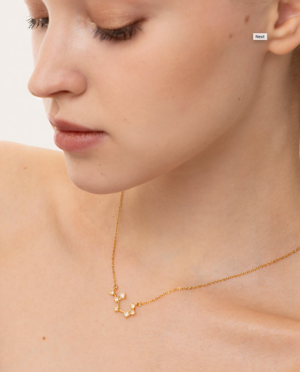 Collana Scorpione, acciaio dorato. Presentata elegantemente in piccola bottiglietta con frase descrittiva segno zodiacale.