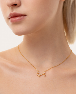 Collana Scorpione, acciaio dorato. Presentata elegantemente in piccola bottiglietta con frase descrittiva segno zodiacale.