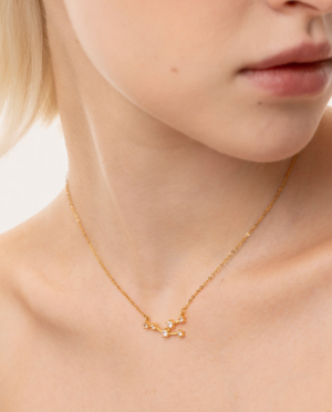 Collana Toro, acciaio dorato. Presentata elegantemente in piccola bottiglietta con frase descrittiva segno zodiacale.